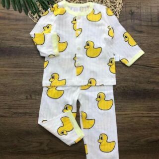 Combo 3 bộ cotton giấy