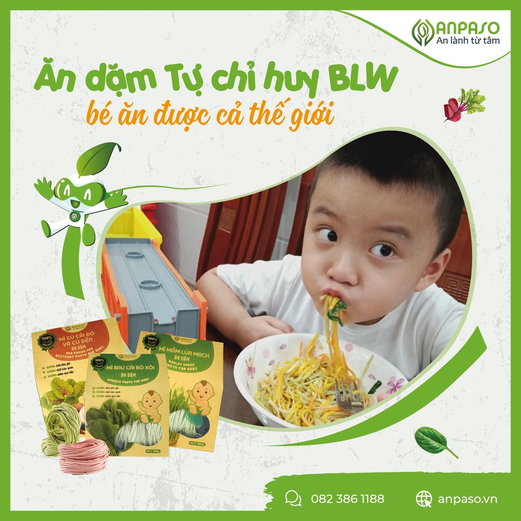 Mì Ăn Dặm Anpaso Rau Củ Hữu Cơ, Rau Củ Organic Kiểu Nhật, Blw, Bổ Sung Chất Xơ, Cải Thiện Táo Bón 300g
