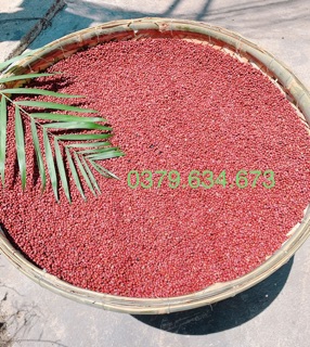 Bột Đậu Đỏ Nhà Làm