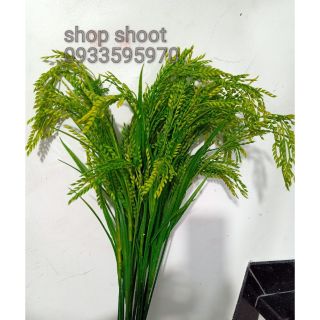 Cành điểm thóc xanh cực đẹp xịn
