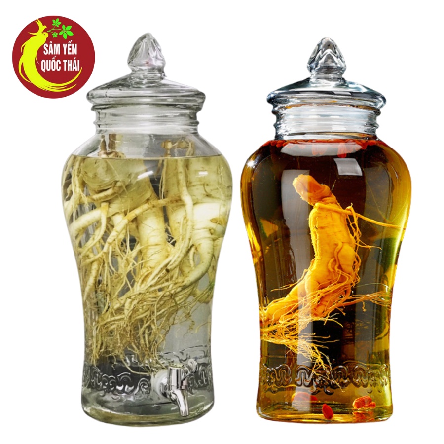 Bình Ngâm Rượu Thủy Tinh 6 Lít 10 Lít 15 Lít Eo Trơn Không Van/Có Van. Bình Đựng Rượu Thủy Tinh Có Vòi/Không Vòi Bao Đẹp