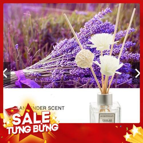 [ XẢ KHO 3 NGÀY]  NƯỚC HOA PHÁP_ tinh dầu thơm để phòng(tặng kèm hoa khô)