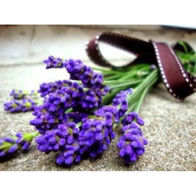 Tinh dầu oải hương-Viện KHCN VN