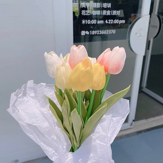 Hoa Tulip Trang Trí