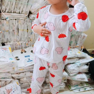Combo sỉ 50 bộ cotton giấy bé trai/gái
