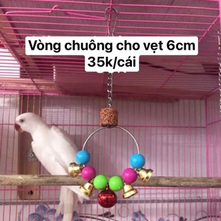 Chuông vòng cho chim vẹt