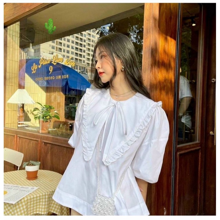 Áo sơmi cổ bèo lá lớn siêu xinh