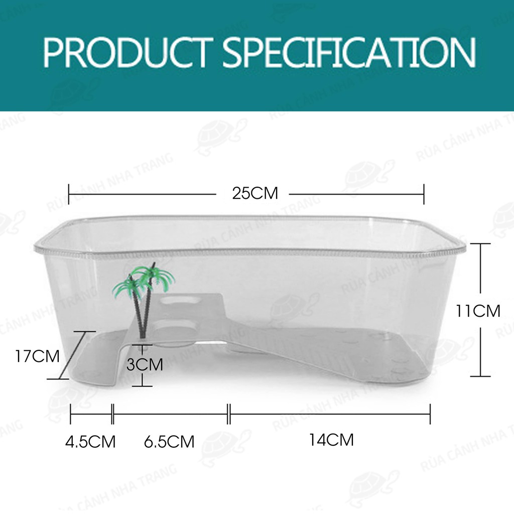 Hồ Nuôi Rùa, Bể Nuôi Rùa, Nuôi Bò Sát