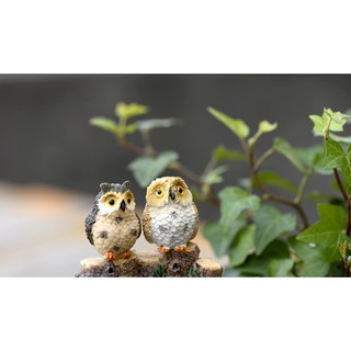 Chim Cú Mèo Giáo Sư - Phụ Kiện Trang Trí Tiểu Cảnh Sen Đá/Bonsai, Terrarium