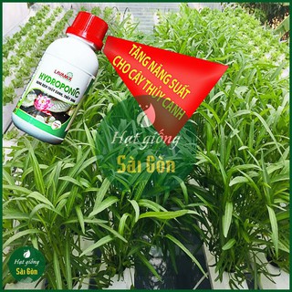 Dung Dịch Thủy Canh Hydroponic 100Ml