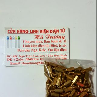 Cọc đồng ren 3 ly dài 1cm combo 50 cái