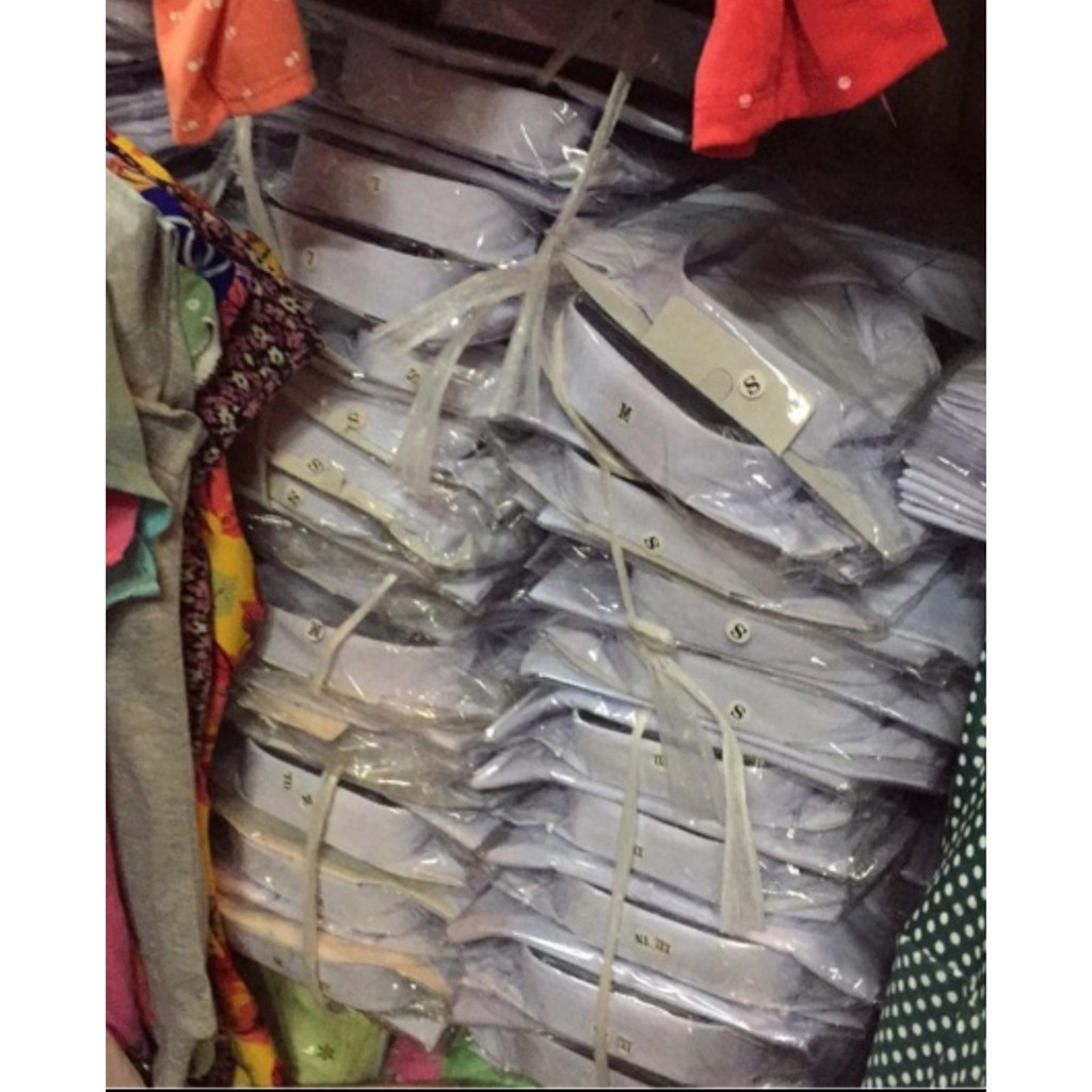 Áo Trắng học sinh tay dài