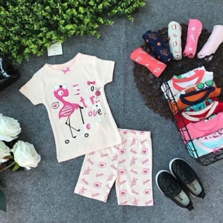 Set 5 Bộ Carter loại 1 cho bé gái