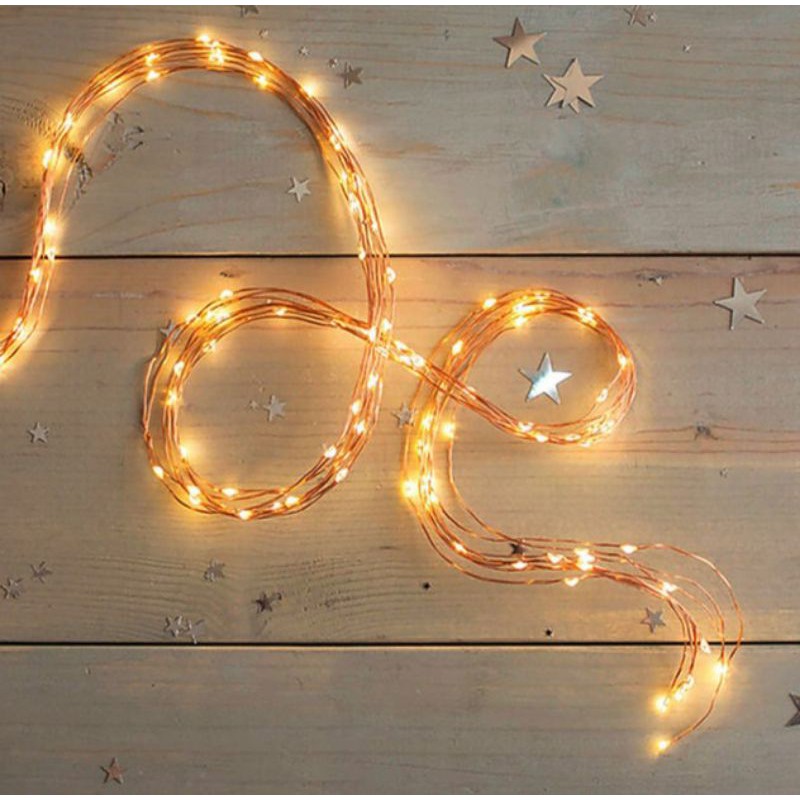 •••HCM••• Dây Đèn LED Đom Đóm Trang Trí Kiểu Dây Leo 10 Nhành 200 LED