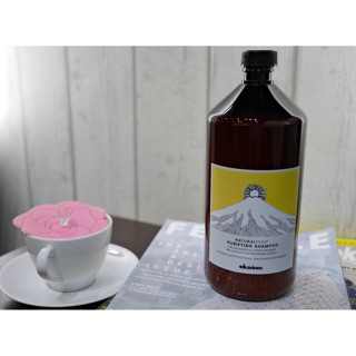 (Chính hãng giá sỉ) Dầu Gội Davines Purifying 1000ML
