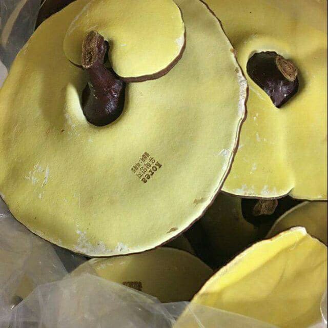 Siêu khuyến mại: 1 kg Nấm linh chi vàng chanh thượng hạng Hàn Quốc | BigBuy360 - bigbuy360.vn