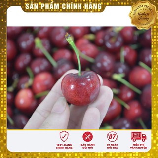 Hạt giống Quả Anh Đào (Cherry) 10 Hạt