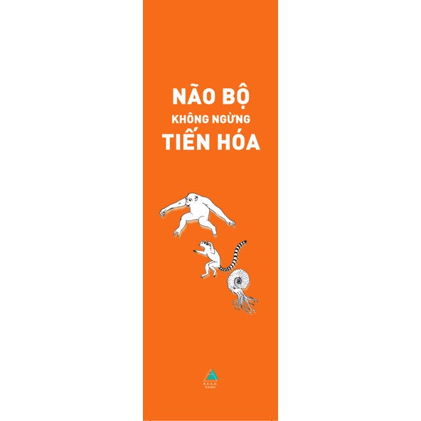 Sách - Não Bộ Không Ngừng Tiến Hóa