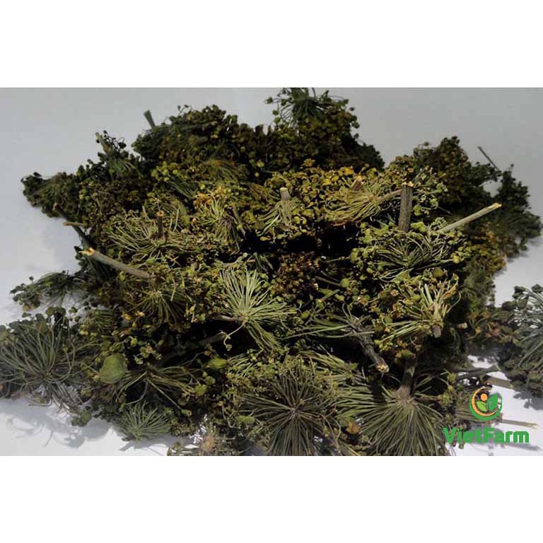 250g Hoa tam thất Sapa loại 1