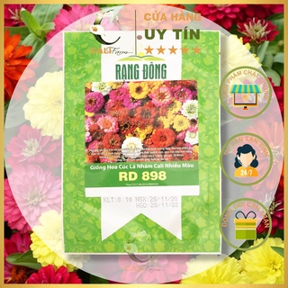Hạt giống Hoa Cúc Lá Nhám Cali nhiều màu RD 898 (0.1gr)