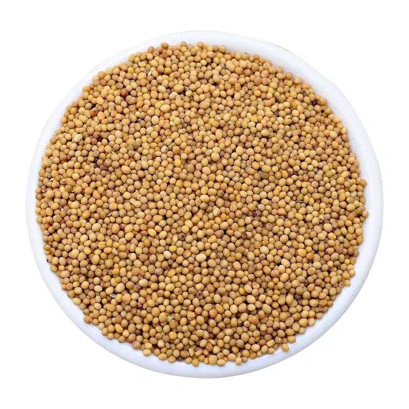 100gr Yellow mustard seeds/ Hạt mù tạt vàng