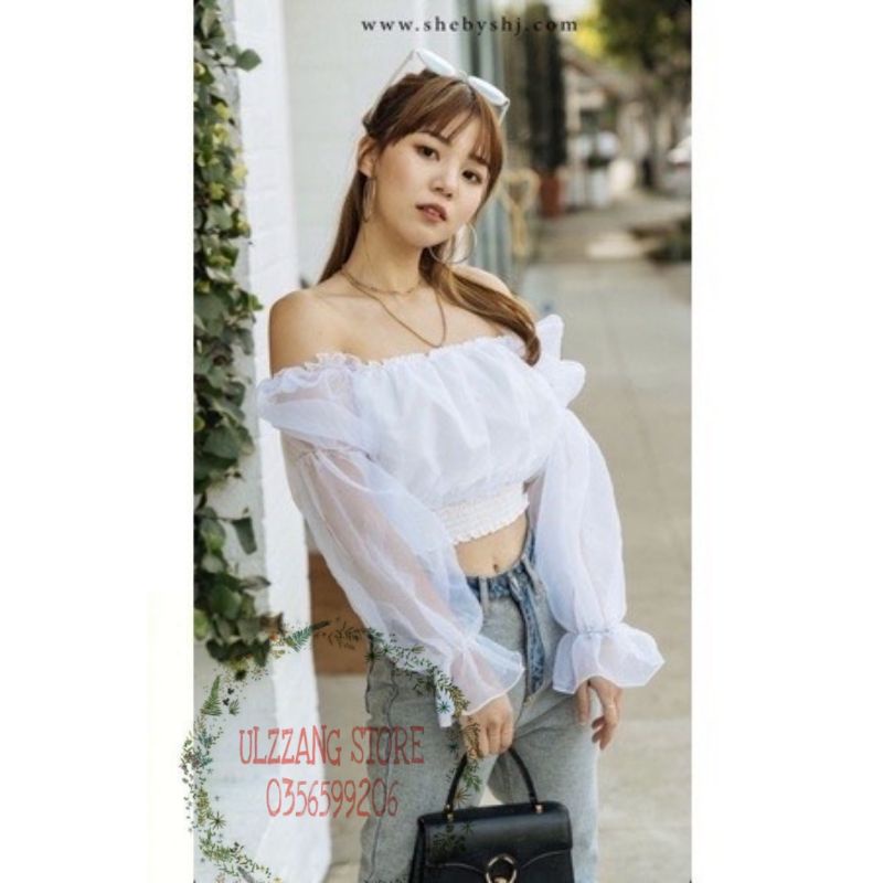 Áo bẹt vai bí tay lưới kính