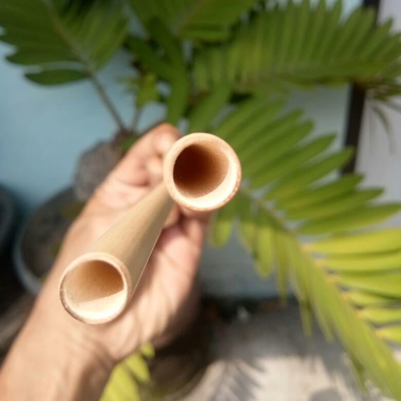 Ống Hút Tre Bảo Vệ Môi Trường Ống Hút Gỗ - Bamboo Straw Combo 10 ống hút kèm cọ rửa GD224