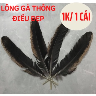 Lông gà thông điếu, lông gà mượt,lông gà chọi, lông gà đẹp