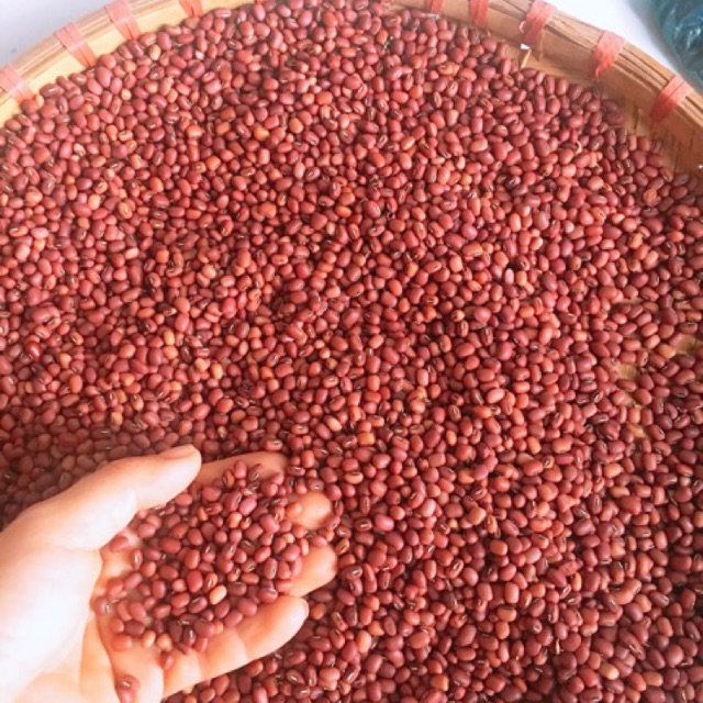 Đậu đỏ Đăk Lăk