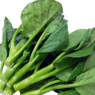 5GR - HẠT GIỐNG RAU CẢI RỔ