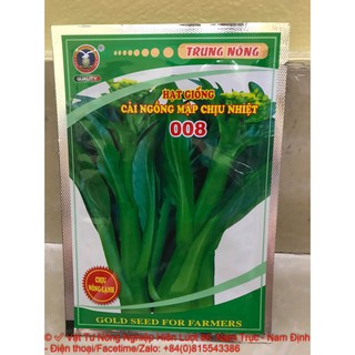 Hạt giống cải ngồng mập chịu nhiệt-vtnn hiền lượt