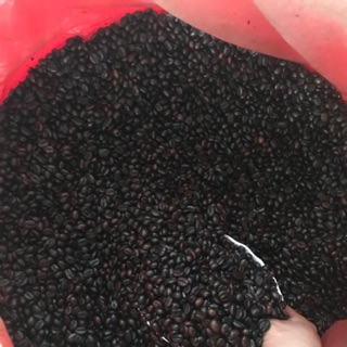 Túi 1kg Cà phê hạt rang bơ nguyên chất pha phin