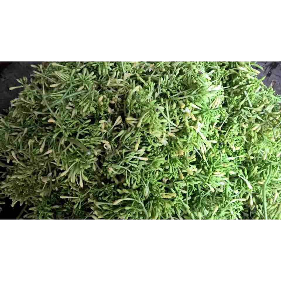 Hoa đu đủ đực phơi khô tự nhiên đóng bịch 0,5kg