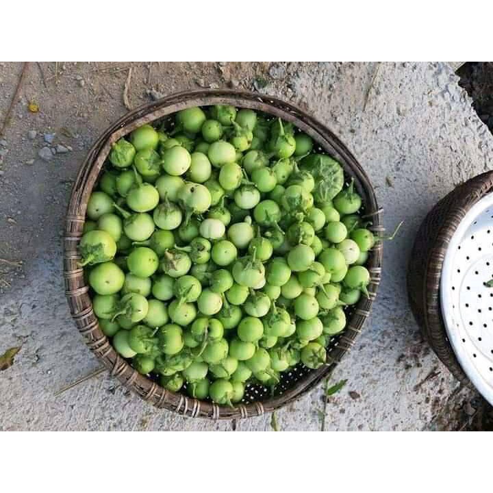 GÓI 2GRAM HẠT GIỐNG CÀ PHÁO XANH CAO SẢN