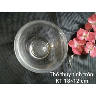 Thố thủy tinh các loại
