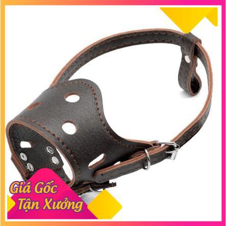 BỊT MỎ CHÓ