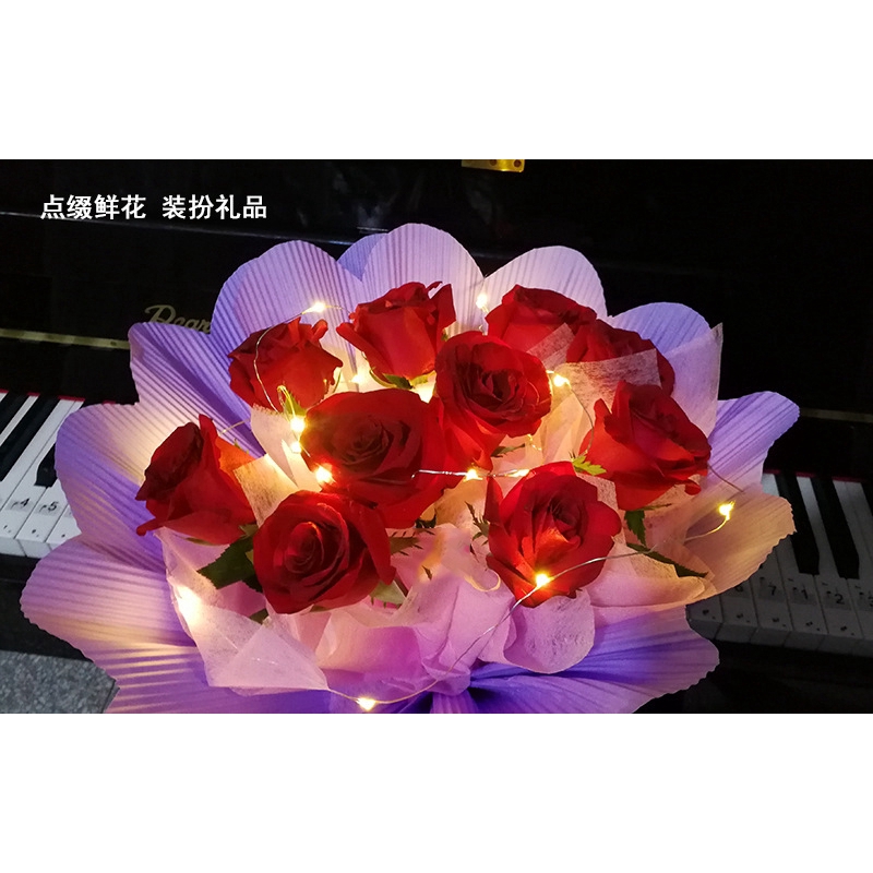 Dây đèn LED 50 bóng 5M lõi đồng sử dụng pin trang trí phòng ốc/tiệc tùng/lễ hội/Giáng Sinh/Halloween