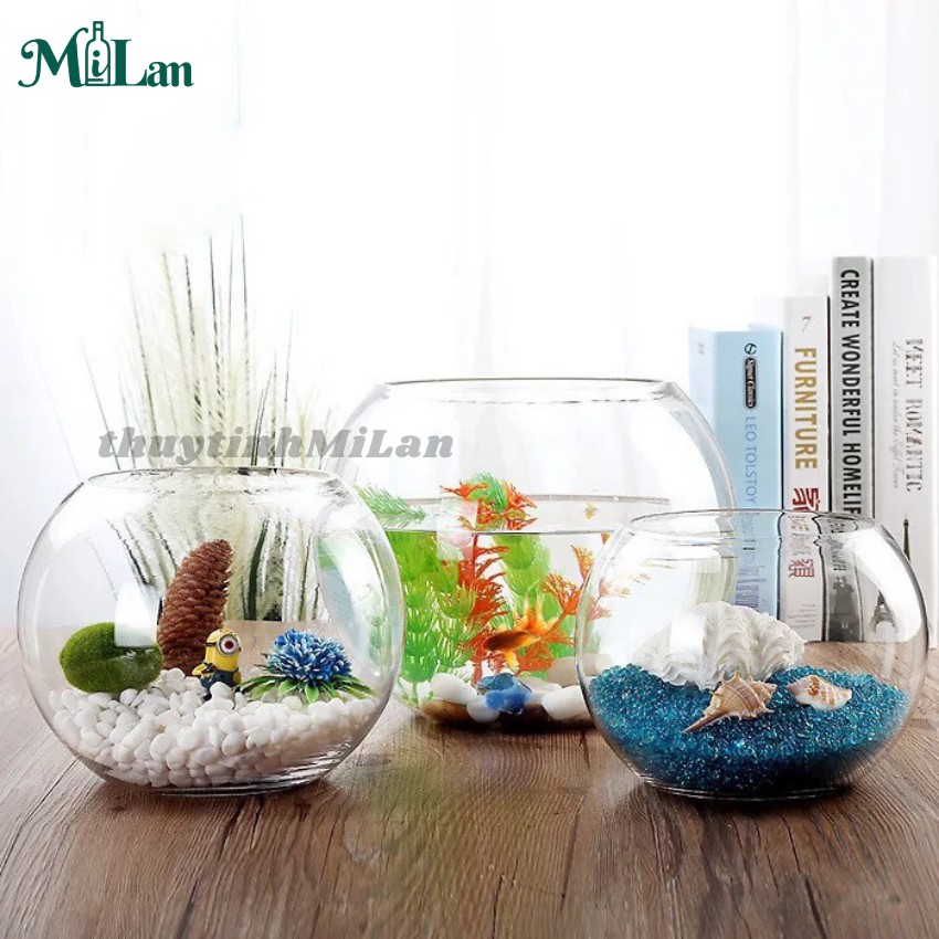 Bể cá thủy tinh tròn mini size lớn nhỏ để bàn phong thủy quả cầu nuôi cá trồng cây TERRARIUM ML_QC