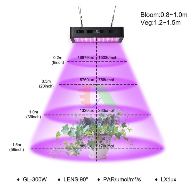 Đèn Led trồng cây 300W