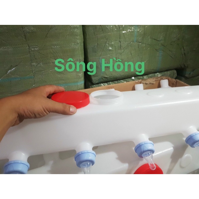 Bình Bú Sữa heo con 6 núm dài 0,8m