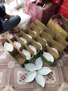 Bộ 5 đĩa ăn cánh hoa
