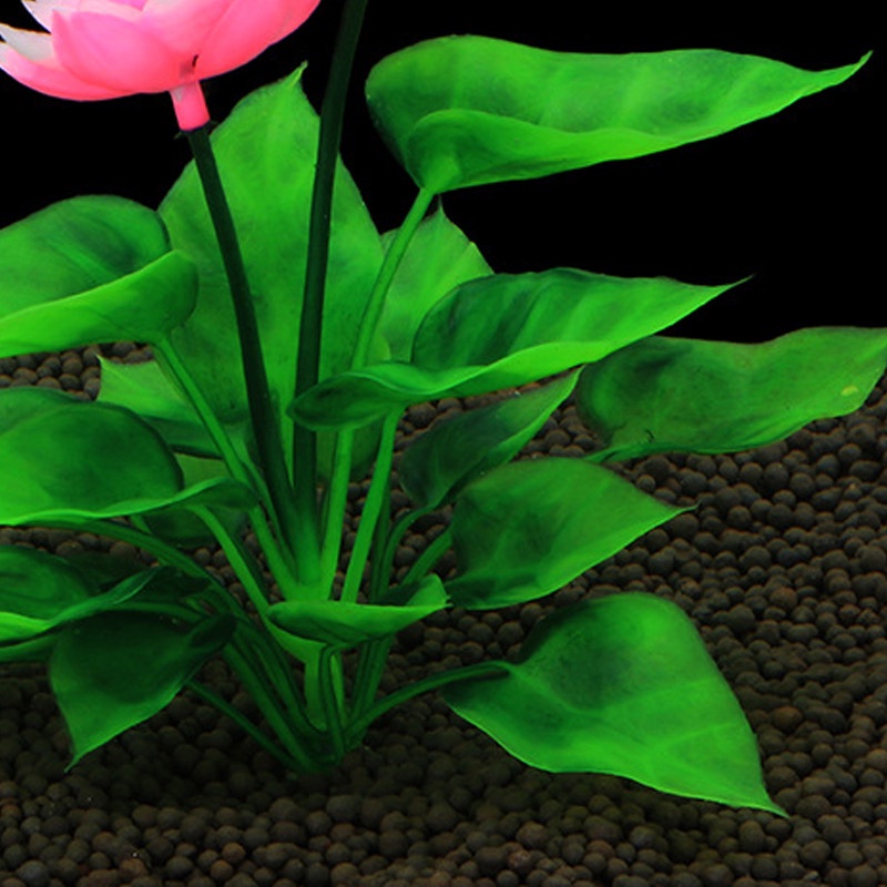 Cỏ sen giả trang trí bể cá