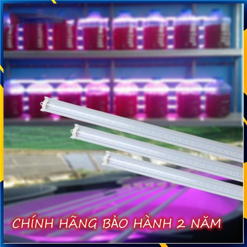 Đèn LED nuôi cấy mô Rạng Đông model D NCM02L