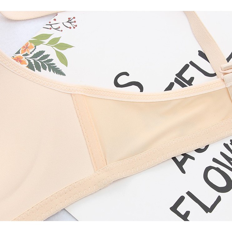 ÁO LÓT KHÔNG GỌNG THÊU HỌA TIẾT TRÁI CÂY CỰC HOT ĐỆM MÕNG KHÔNG GỌNG | BigBuy360 - bigbuy360.vn