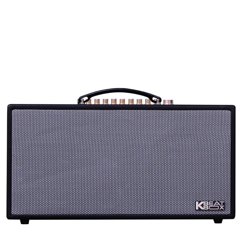 LOA ACNOS_CS450SR CHÍNH HÃNG 100% Nguyên Box