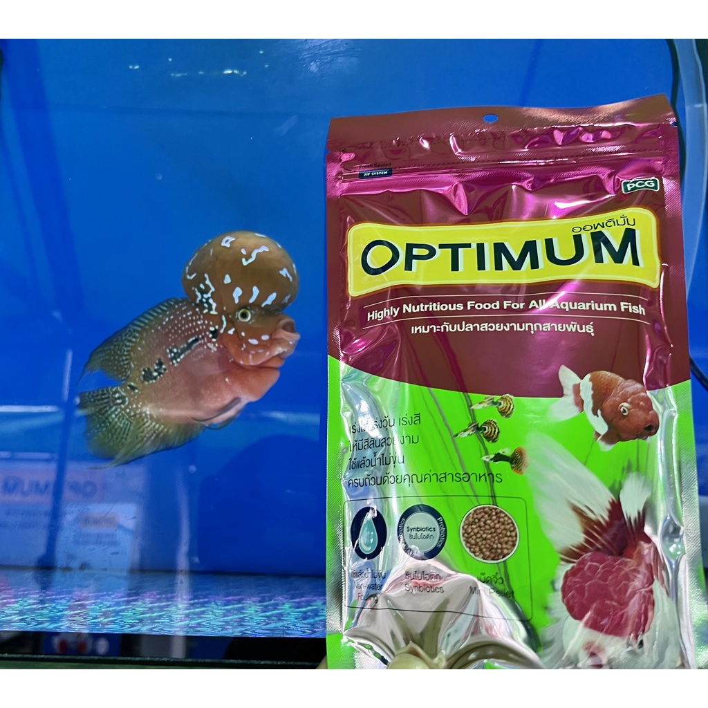 Thức ăn cho cá cảnh- OPTIMUM  - -cho cá vàng, cá ba đuôi, cá kiếm, ông tiên, Betta
