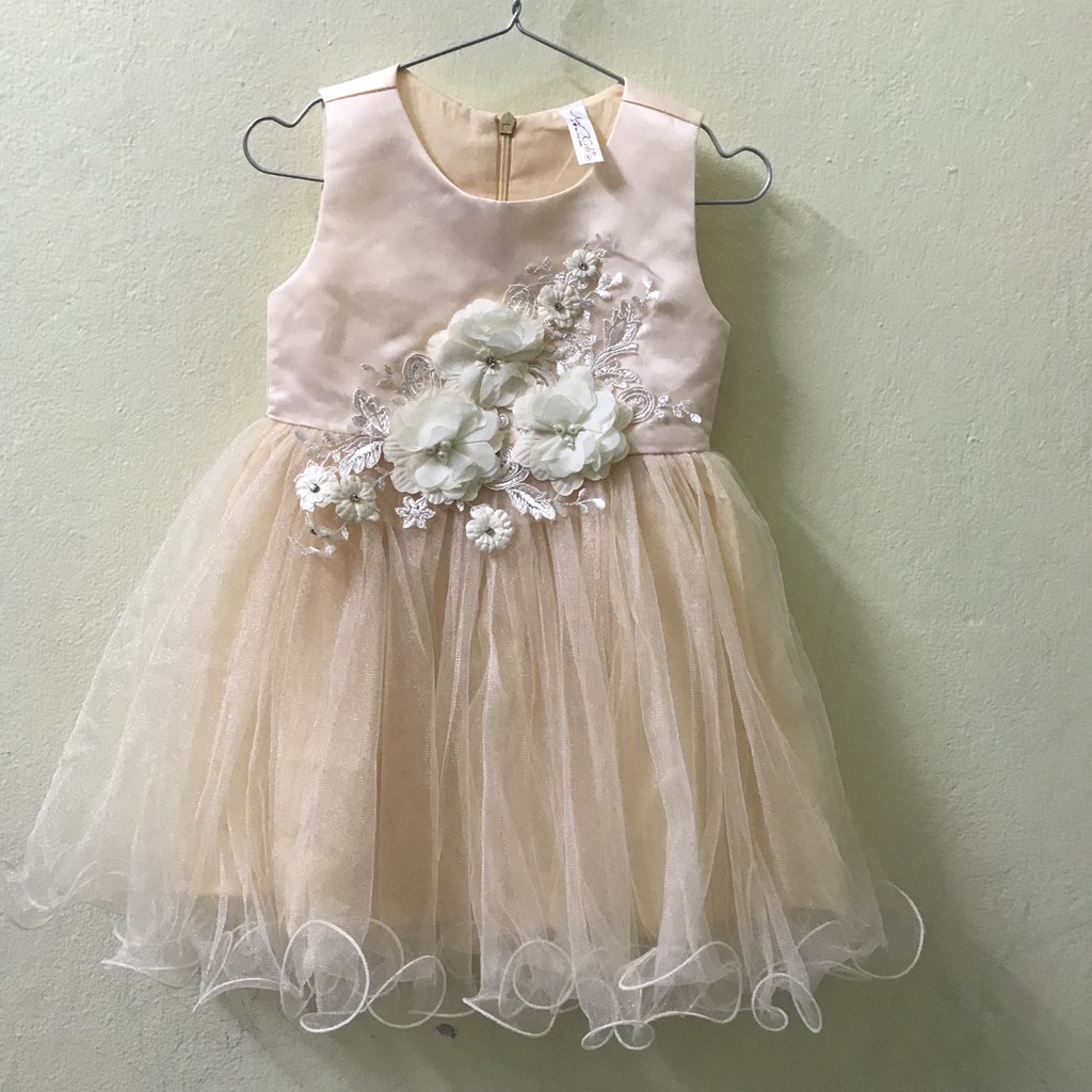 Váy công chúa đính hoa nổi siêu xinh cho bé gái_XHN05