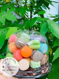 Set bánh MACARON MINI ( 1.5-2cm )
