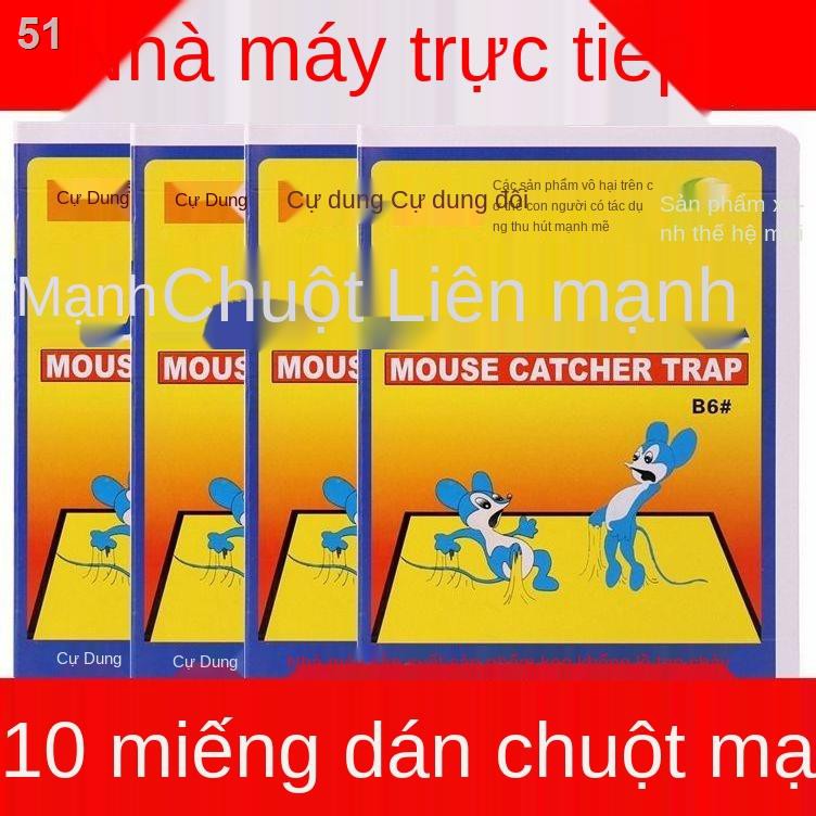 dính chuột siêu mạnh gia dụng Ban bán buônL