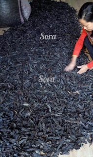 NƯỚC GỘI BỒ KẾT CÔ ĐẶC SORANA